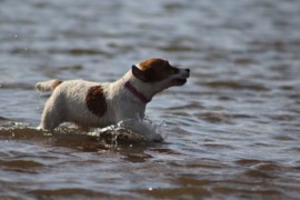 IMG 0457